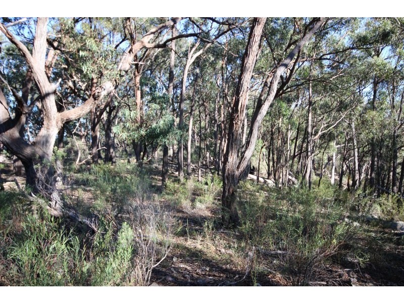 Lot 18,  Old Coowong Road, Canyonleigh NSW 2577