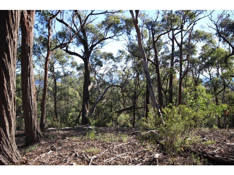 Lot 18,  Old Coowong Road, Canyonleigh NSW 2577