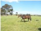 1480 Wombeyan Caves Road, High Range NSW 2575