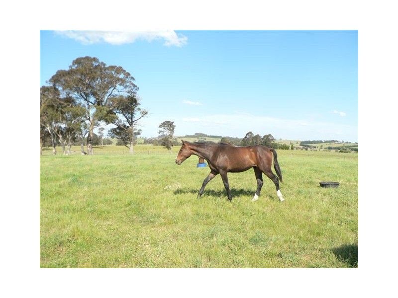 1480 Wombeyan Caves Road, High Range NSW 2575