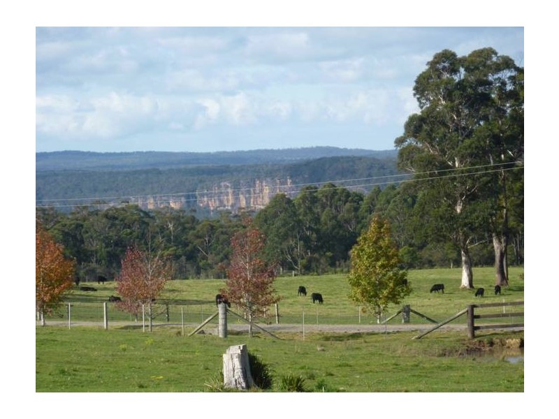 Wallaby Hill Road, Robertson NSW 2577