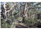 Lot 19,  Old Coowong Road, Canyonleigh NSW 2577