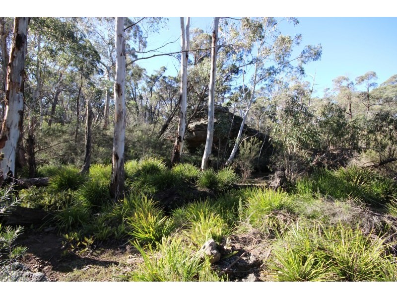 122 Eucalypt Lane, High Range NSW 2575