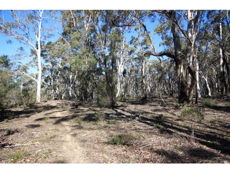 122 Eucalypt Lane, High Range NSW 2575