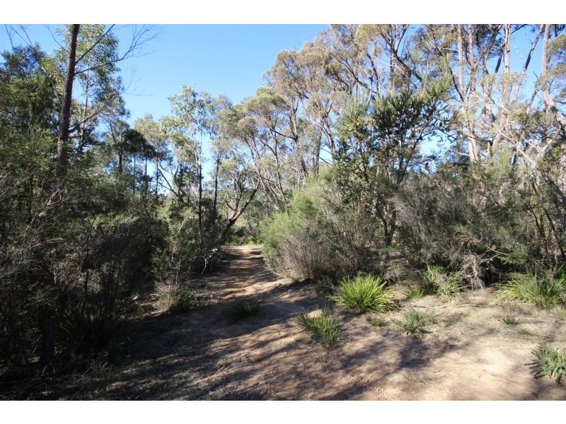 122 Eucalypt Lane, High Range NSW 2575