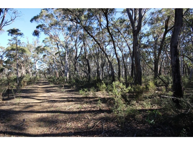 122 Eucalypt Lane, High Range NSW 2575