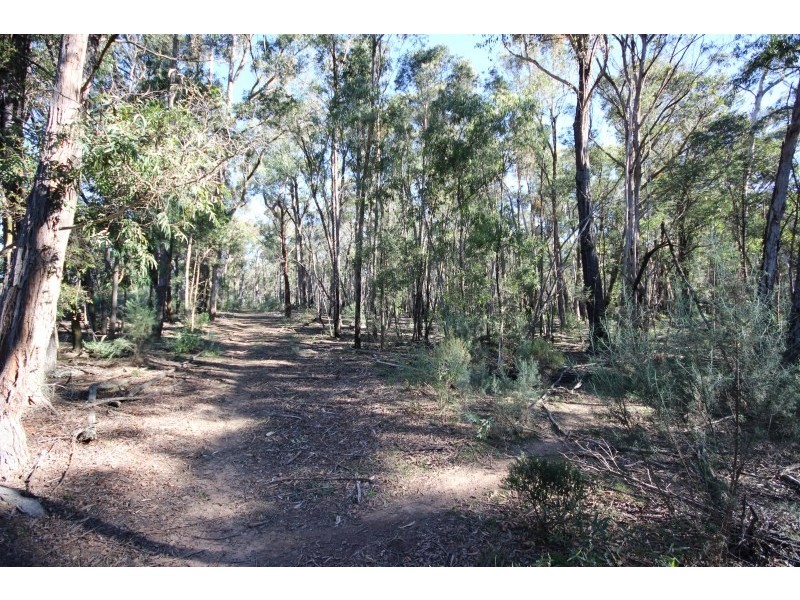 122 Eucalypt Lane, High Range NSW 2575