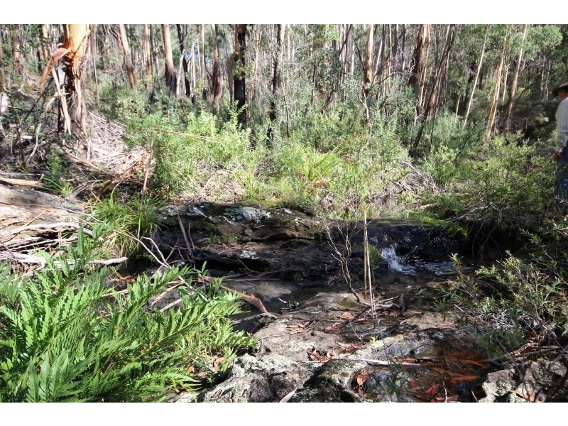 122 Eucalypt Lane, High Range NSW 2575