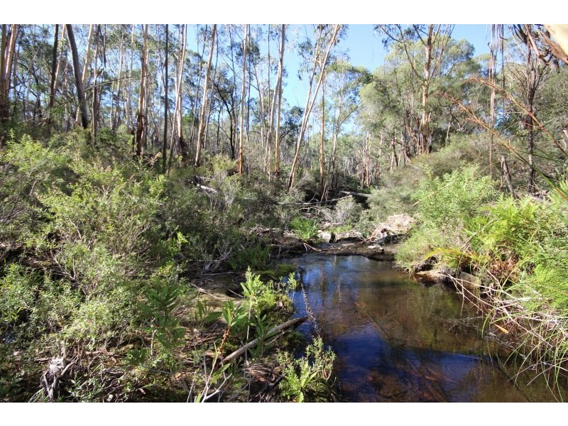 122 Eucalypt Lane, High Range NSW 2575