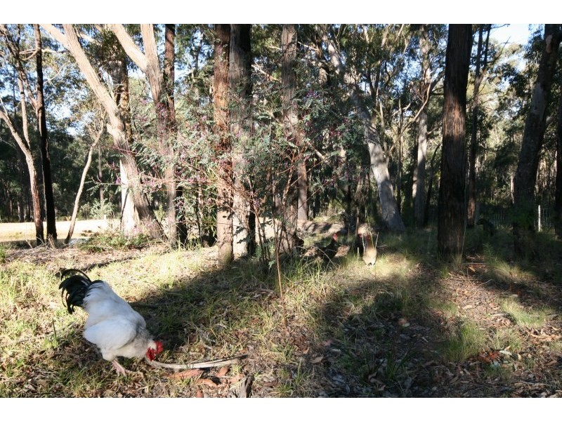 27 Elizabeth Way, Hill Top NSW 2575