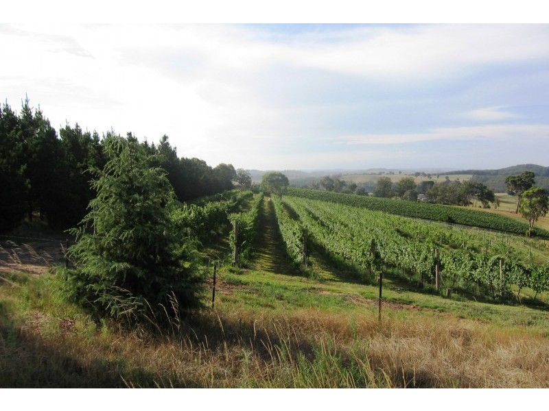 250 Bangadilly Road, Canyonleigh NSW 2577