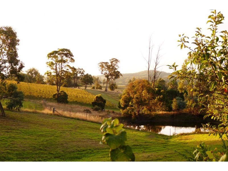 250 Bangadilly Road, Canyonleigh NSW 2577