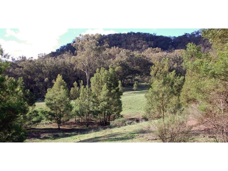 60 Megalong Lane, Canyonleigh NSW 2577