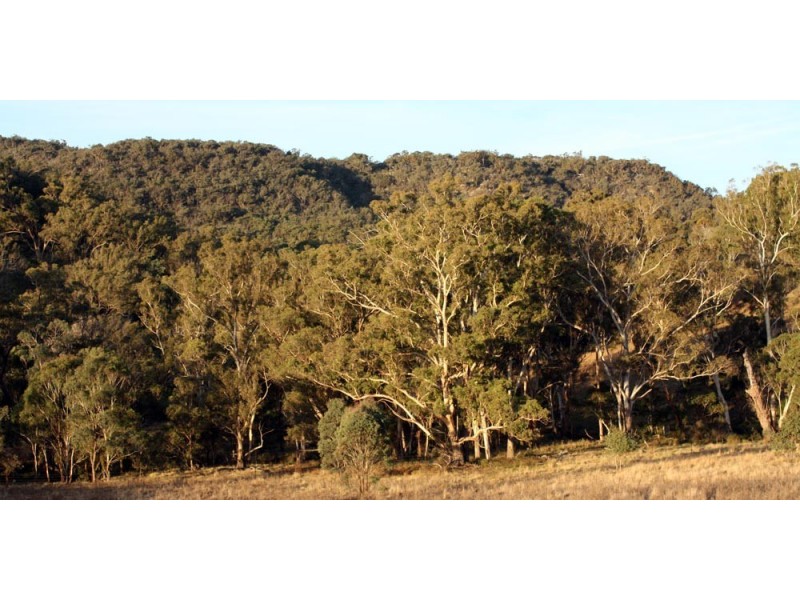 60 Megalong Lane, Canyonleigh NSW 2577