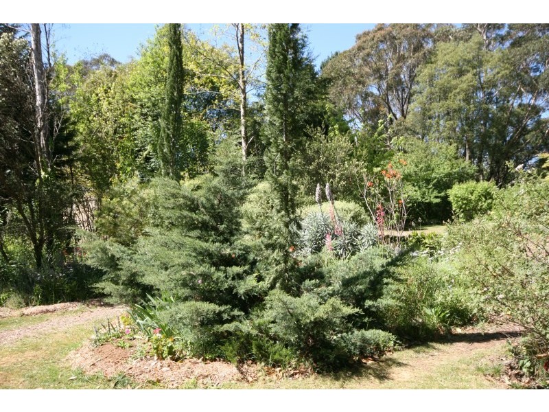 9 Throsby Road, Fitzroy Falls NSW 2577