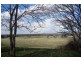 High Range NSW 2575