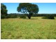 164 McEvilly Road, Robertson NSW 2577