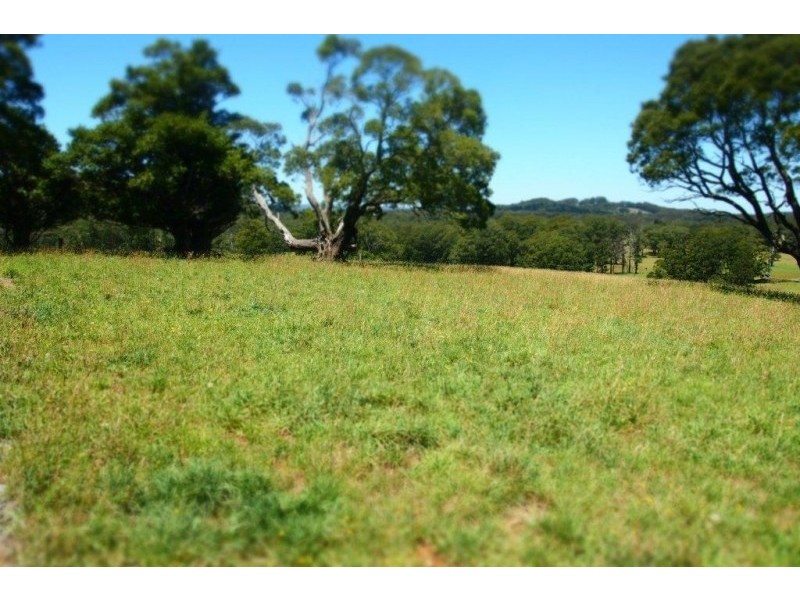 164 McEvilly Road, Robertson NSW 2577