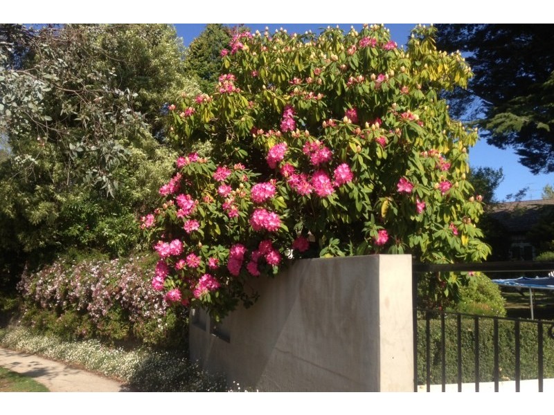 Bowral NSW 2576