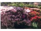 Bowral NSW 2576