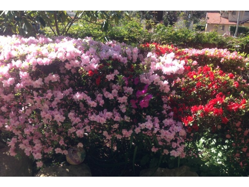 Bowral NSW 2576