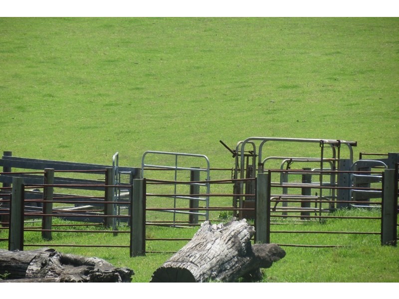 Robertson NSW 2577