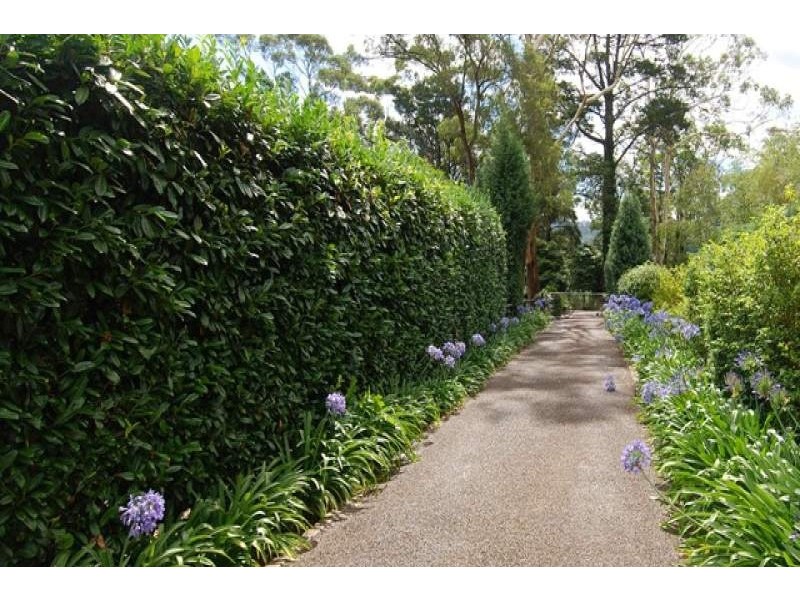 6C Hamilton Avenue, Bowral NSW 2576