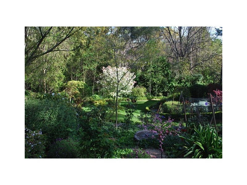 6C Hamilton Avenue, Bowral NSW 2576