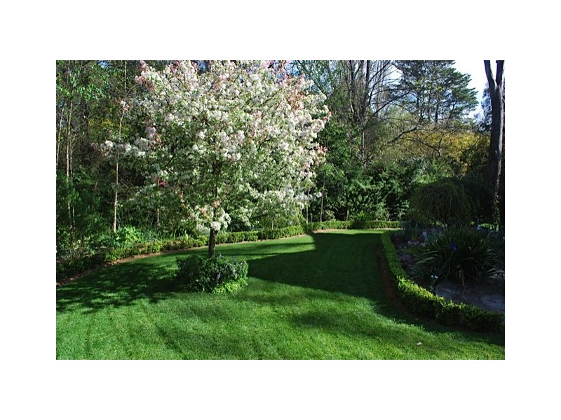 6C Hamilton Avenue, Bowral NSW 2576