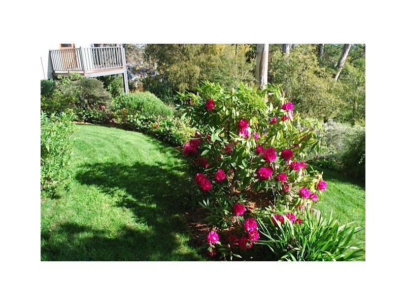 6C Hamilton Avenue, Bowral NSW 2576