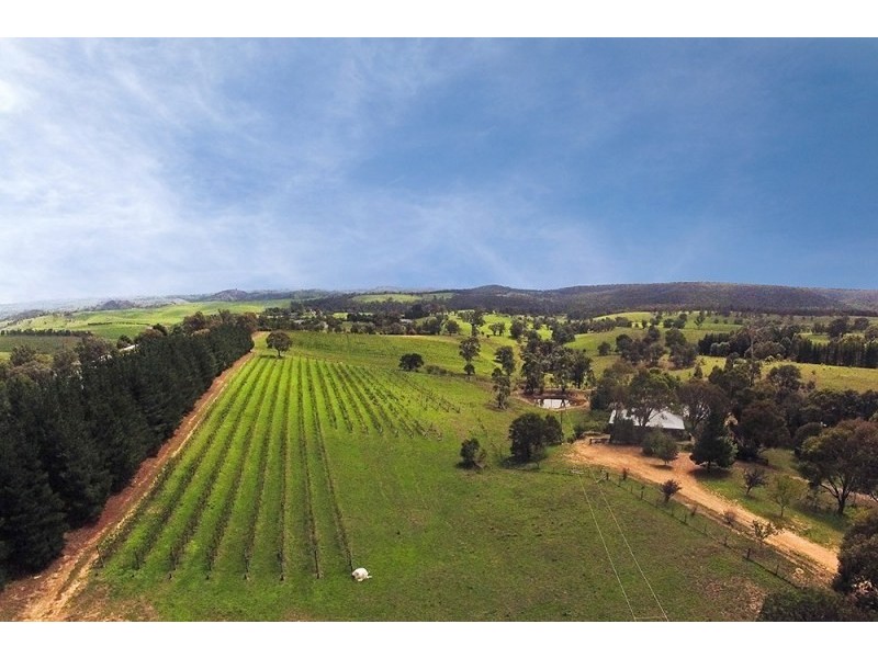 250 Bangadilly Road, Canyonleigh NSW 2577