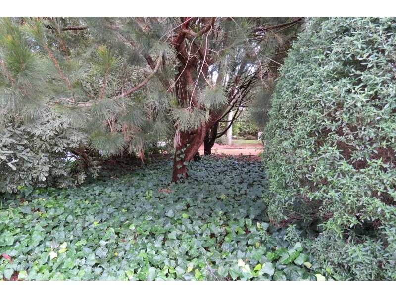 74 North Street, Robertson NSW 2577