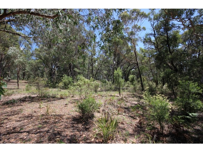 Lot 4, 2311 Canyonleigh Road, Canyonleigh NSW 2577