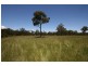 Robertson NSW 2577