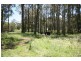 Robertson NSW 2577