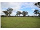 Lot 1 Old Mandemar Road, Berrima NSW 2577