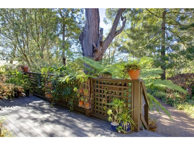 Willow Vale NSW 2575