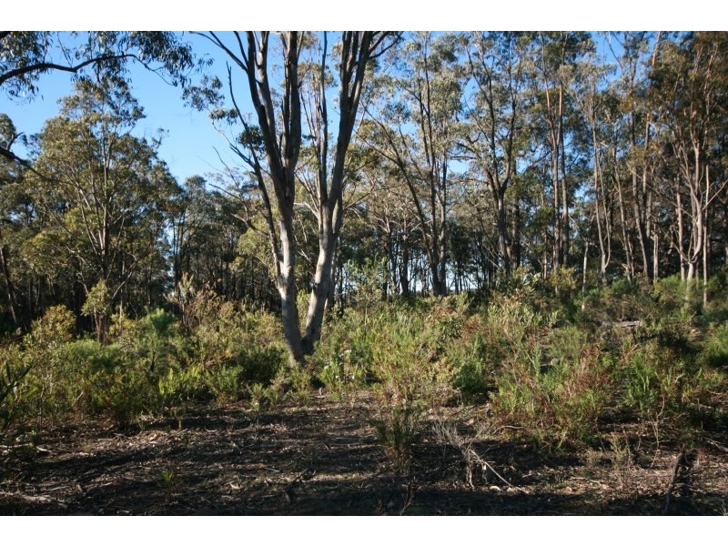 Lot 1 Joadja Road, Joadja NSW 2575
