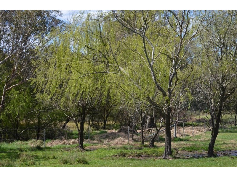 High Range NSW 2575