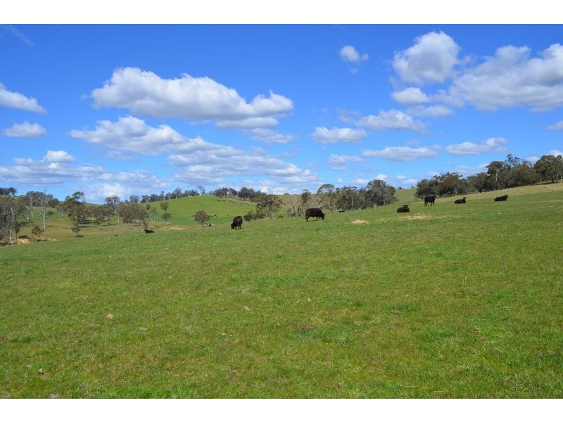 High Range NSW 2575