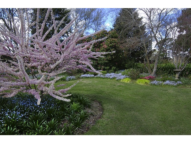 4991 Illawarra Highway, Robertson NSW 2577