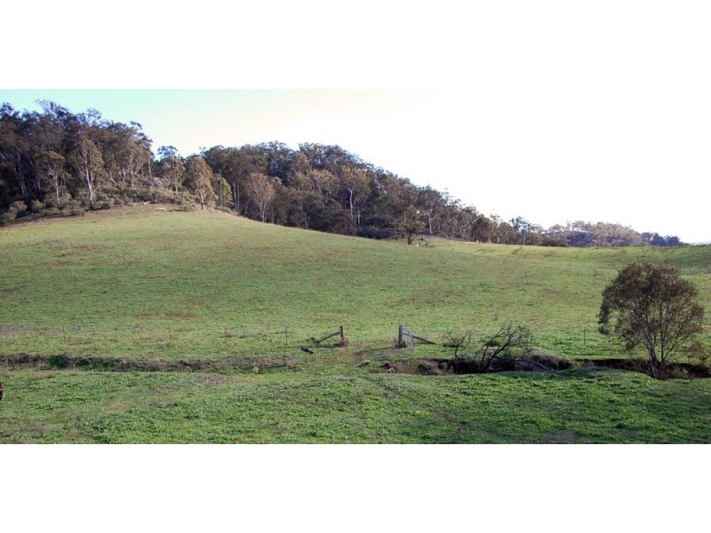 60 Megalong Lane, Canyonleigh NSW 2577