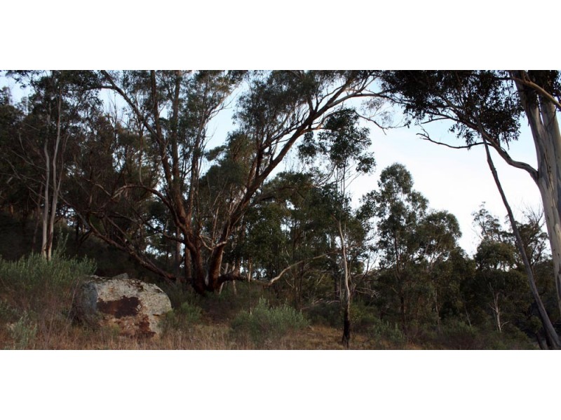 60 Megalong Lane, Canyonleigh NSW 2577