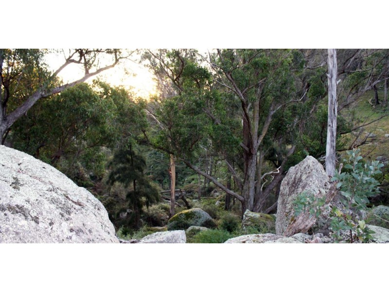 60 Megalong Lane, Canyonleigh NSW 2577