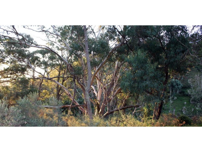 60 Megalong Lane, Canyonleigh NSW 2577