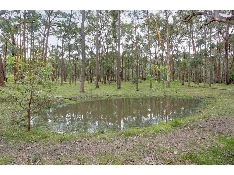 17 Wilson Drive, Colo Vale NSW 2575