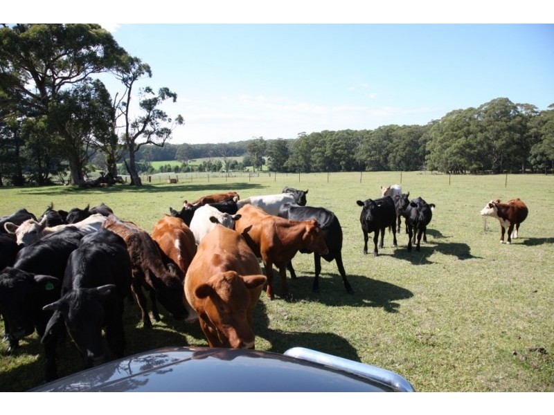 Rotherwood Road, Wildes Meadow NSW 2577