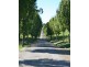 Avoca NSW 2577