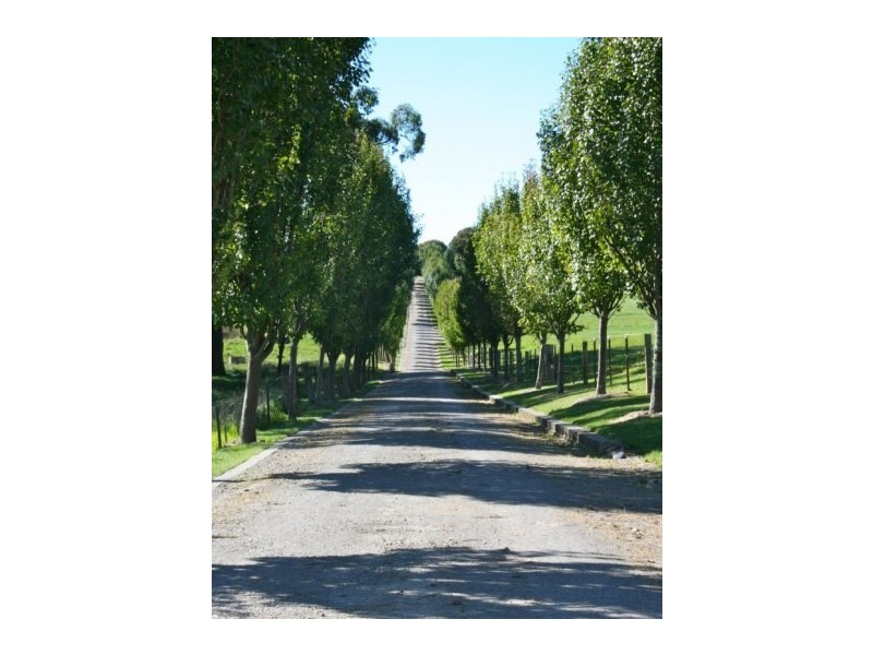 Avoca NSW 2577