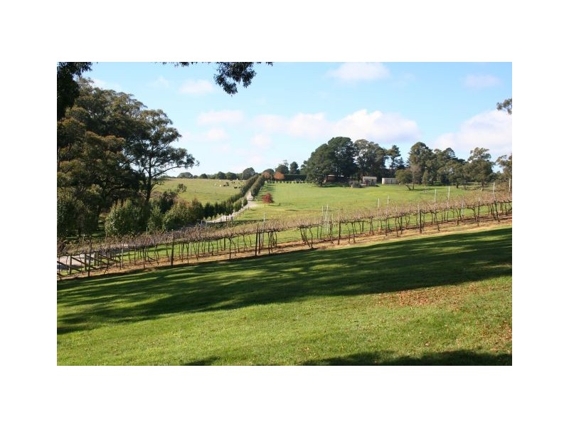 Avoca NSW 2577